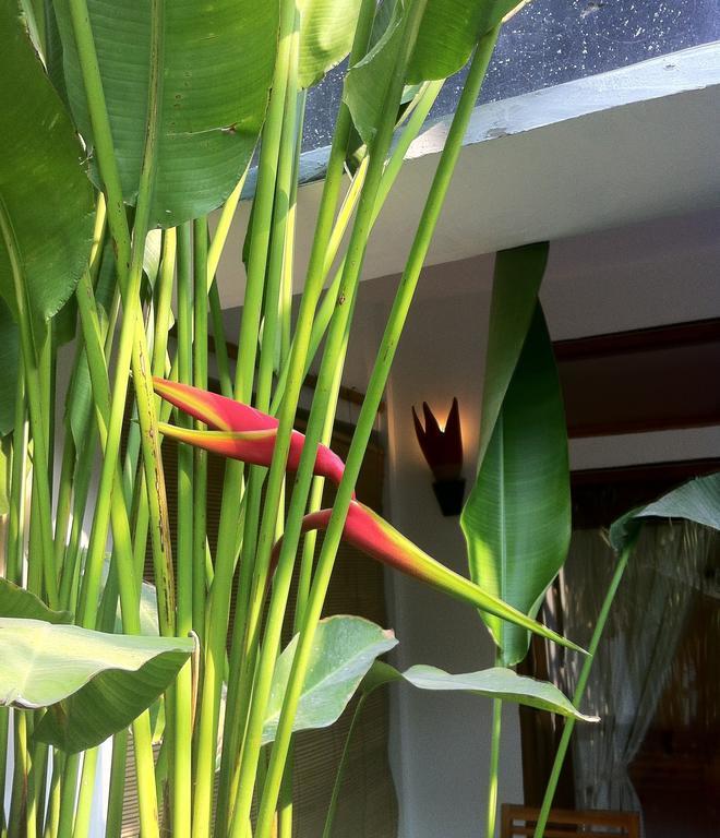 Rumah Cahaya Gili Trawangan Cameră foto